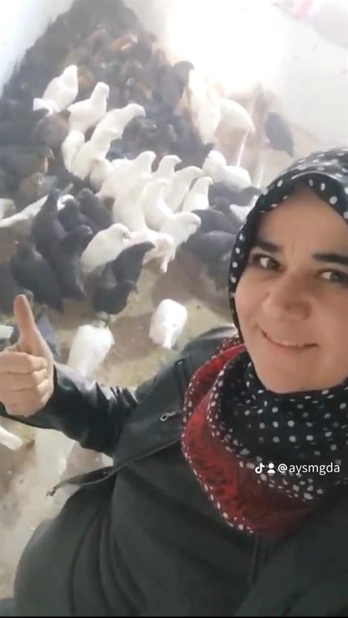 Ayşem Gıda Elbistan Doğal Köy Besisi Tavuklarımız
